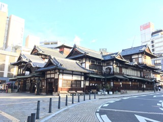 1EDE67D9-2C49-41C6-850E-0516631294C4.jpeg