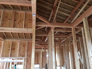 3D367356-6B85-465D-BF97-5EF1CF6D623F.jpeg