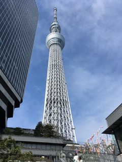 43073F91-89DB-42A9-9511-F9EF9EAD8916.jpeg