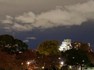 7EC0ABD9-2949-4E1B-92C9-F41E8BD16EC6.jpeg